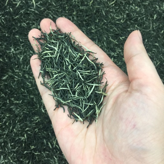 新县毛尖茶  今年新茶 明前信阳毛尖浓香型 500g包邮
