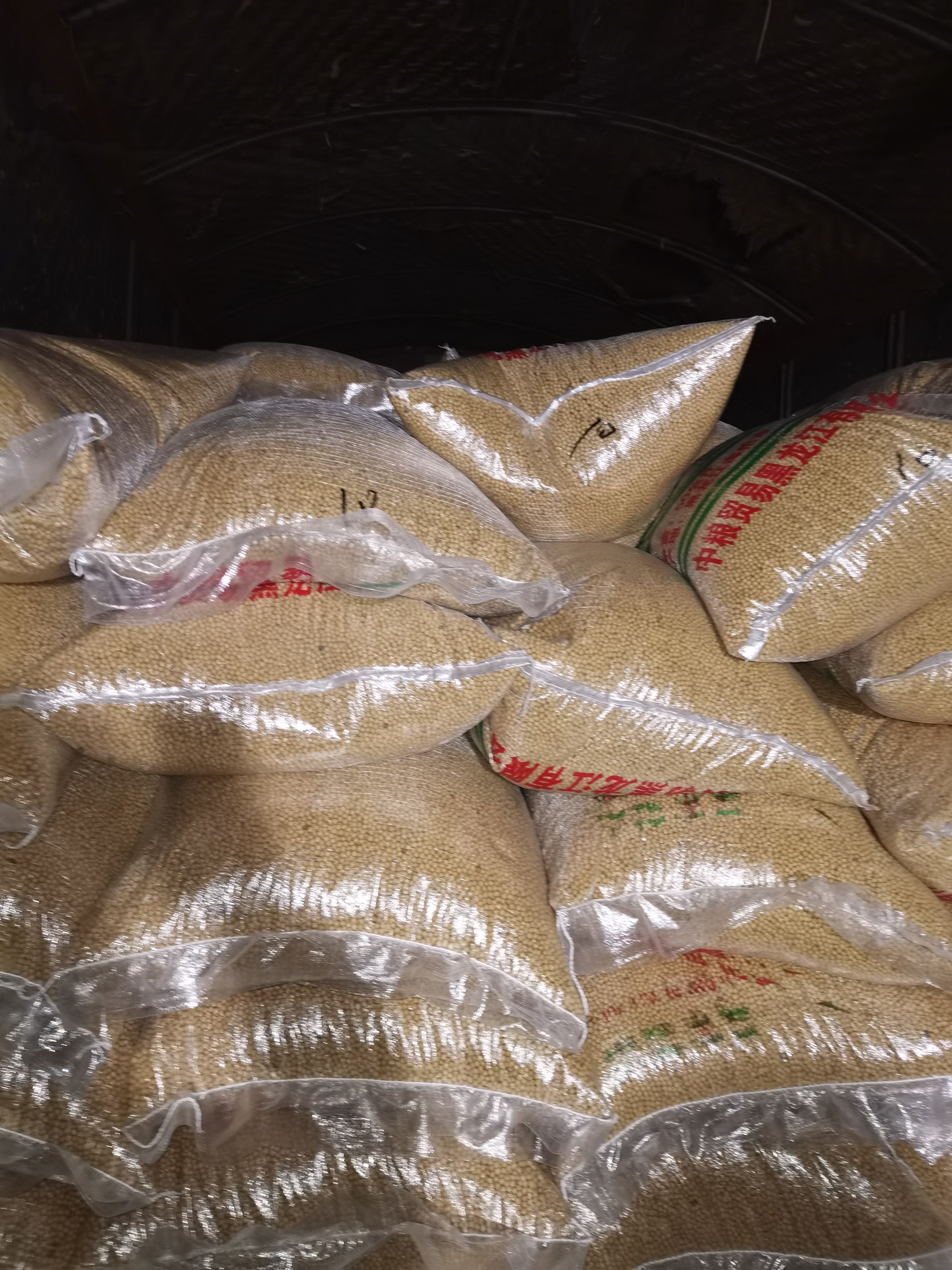 黄大豆东升系列 大颗粒高蛋白大豆 豆浆 腐竹豆蛋白41以上