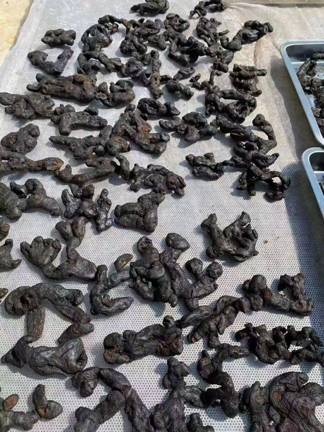滇黄精  黄精  九制黄精批发质量保证