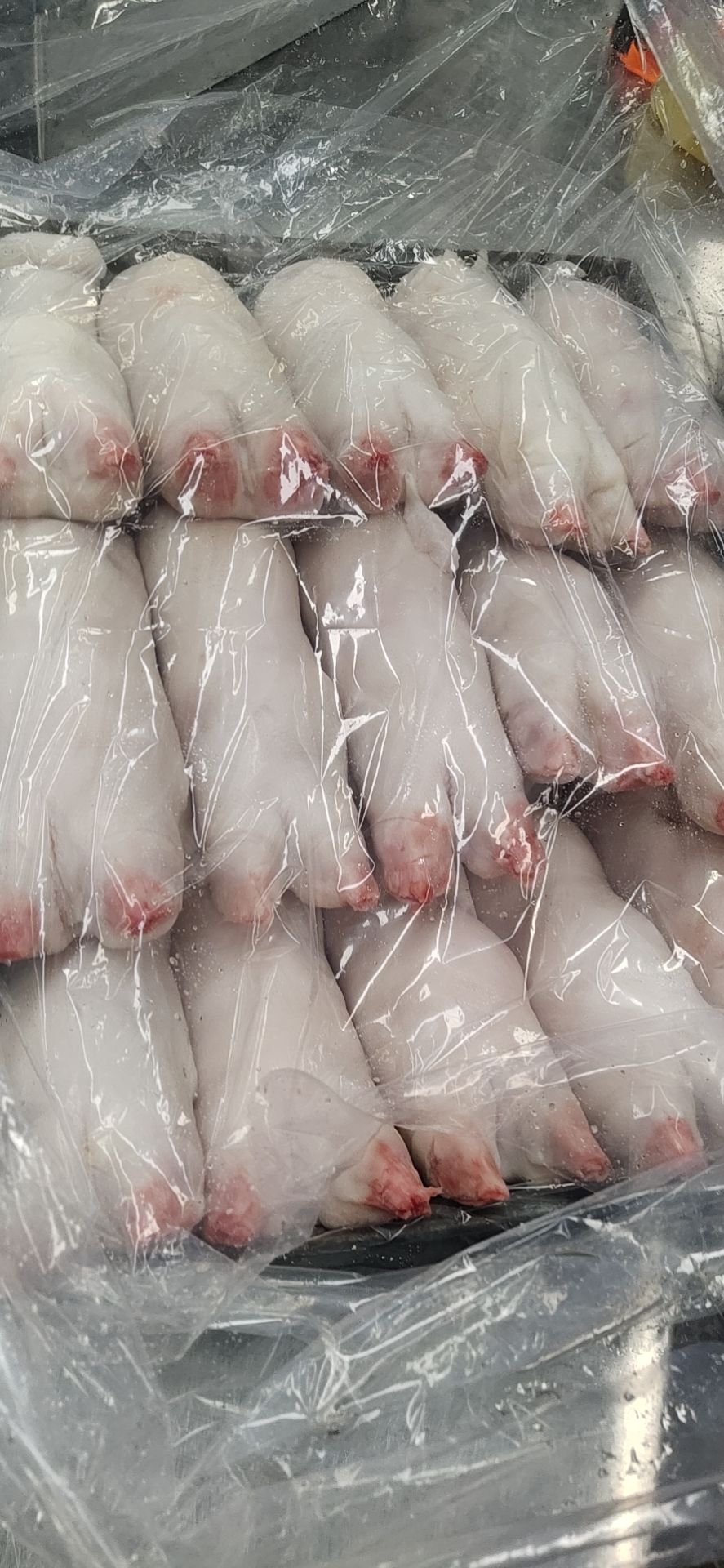  19－21国产带筋猪蹄