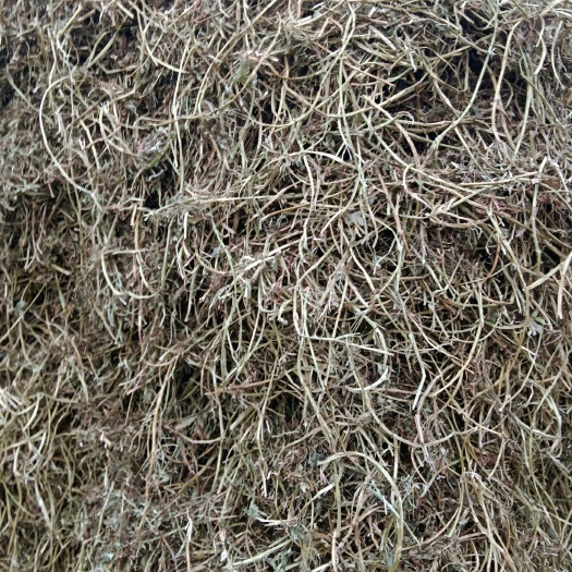驻马店干草 牛 羊 马 
