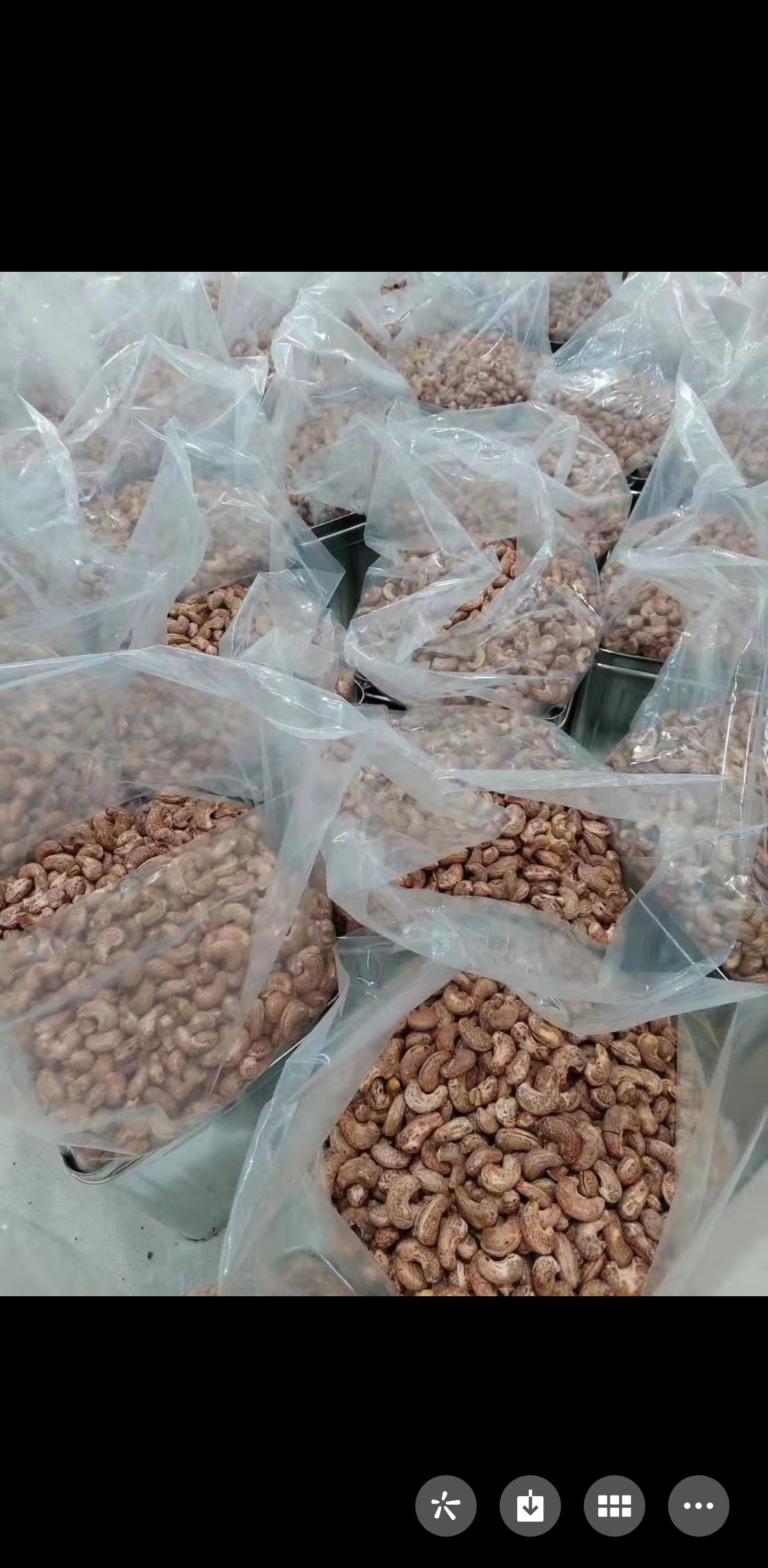  越南产大量腰果成品批发