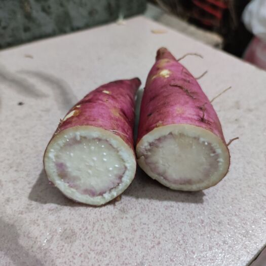 广州白心红薯 2022秋冬紫白芯番薯红薯，广州本土品种，精品品质