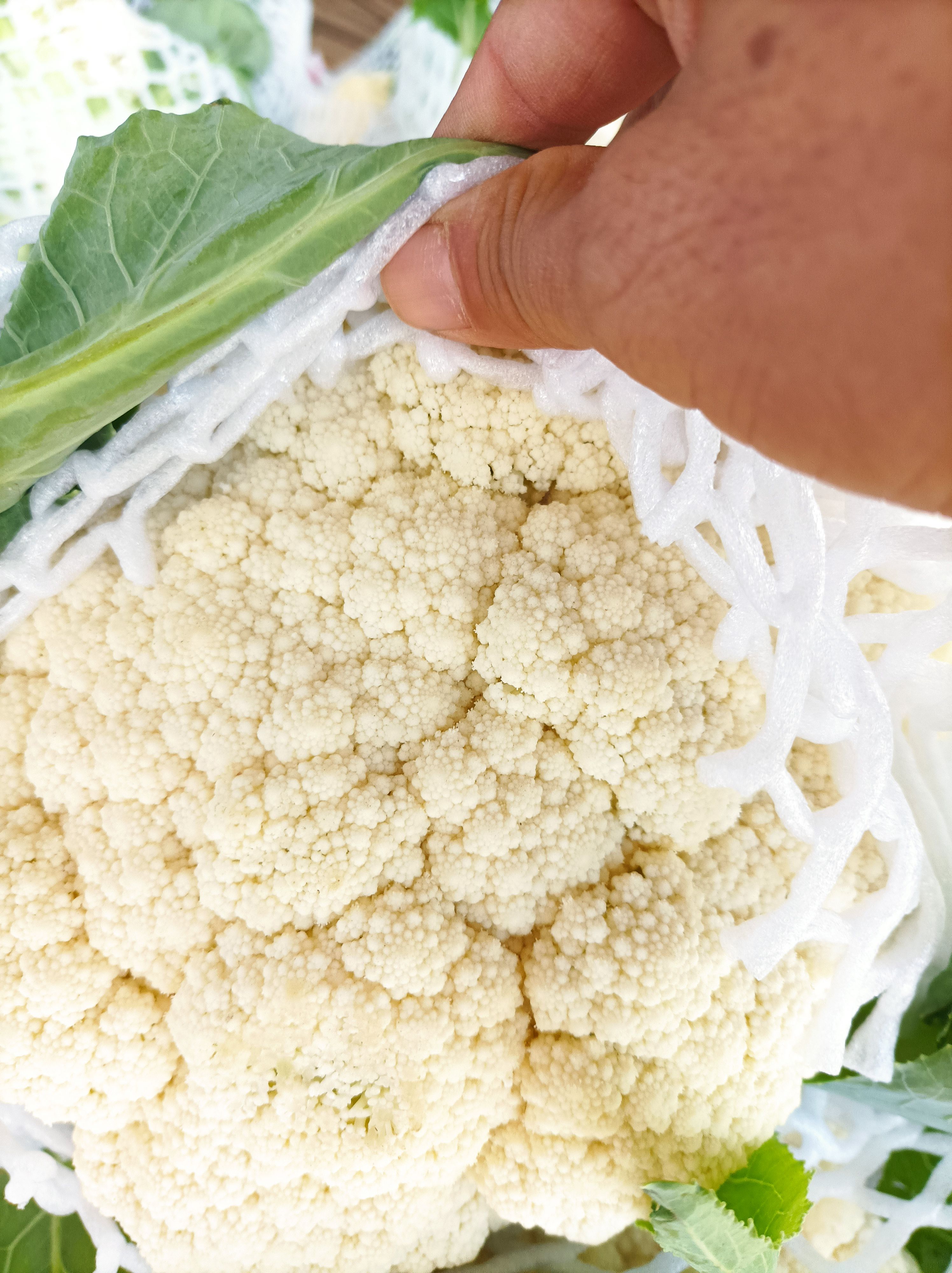 花菜大量供应质量价格便宜