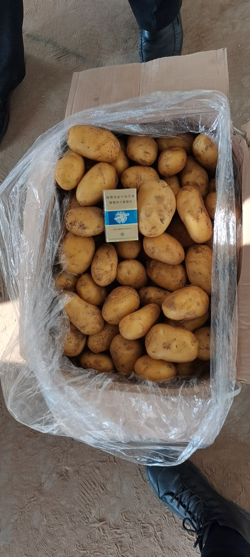 黄心土豆  边贸，薯片厂，食堂，电商，加工厂