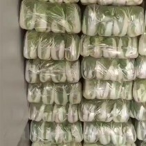 酒泉精品黄心娃娃菜  货源充足  质量好  单颗重1.5-2.5