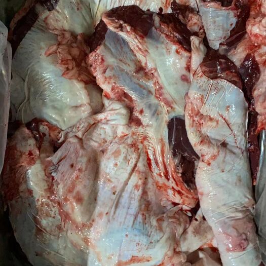 惠民县牛肉类 高端纯干精修去油罗肌肉