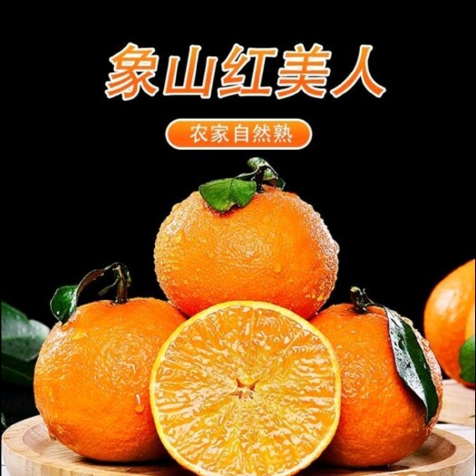 爱媛橙  红美人柑橘象山红美人柑橘 礼盒装当季水果 现摘现发 包邮
