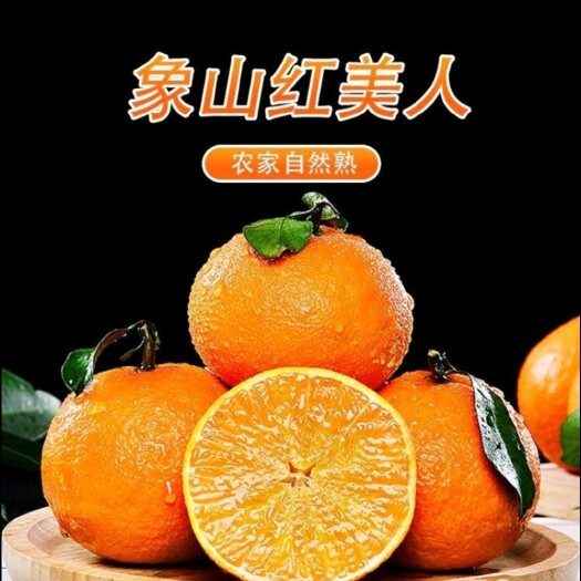 象山县爱媛橙  红美人柑橘正宗象山红美人柑橘 礼盒装当季水果 现摘现发 包邮