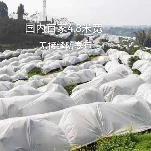 东莞市 防寒布透气不透水不烧树不烧果