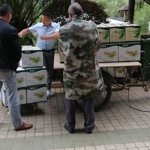 昆明中量元素水溶肥