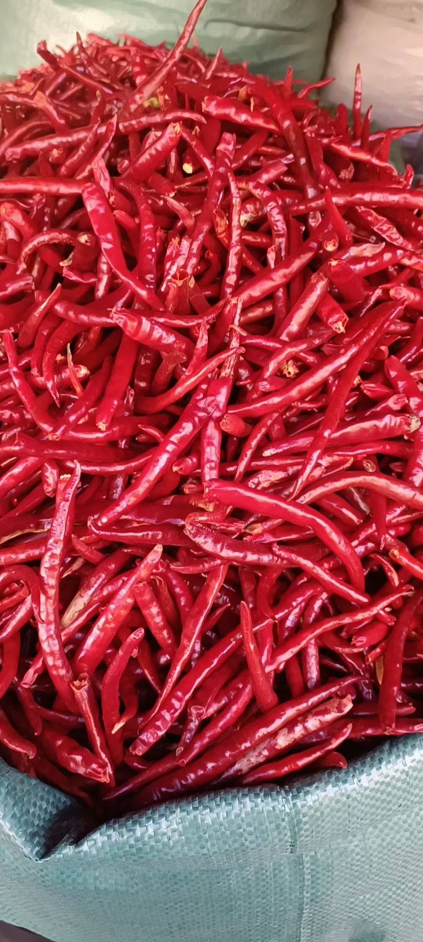 出售云南丘北干辣椒，产地直发，量大优惠。可看图看视频看货。