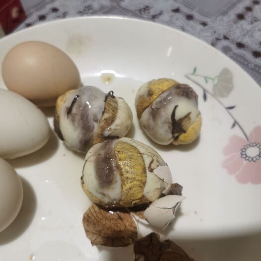 临沂毛蛋 活珠子13-15天大量供应，自家养殖场，孵化设备