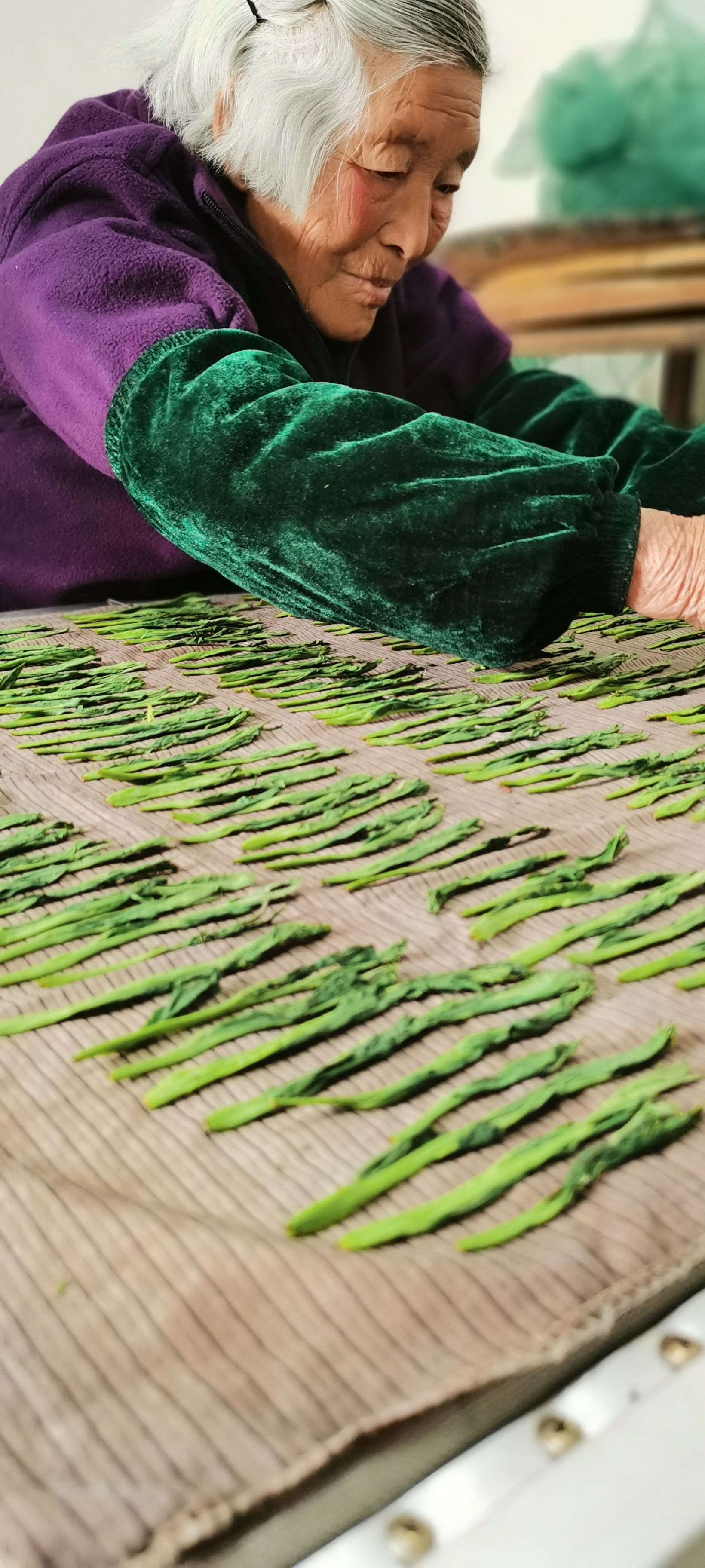  黄山野茶高山太平猴魁500克