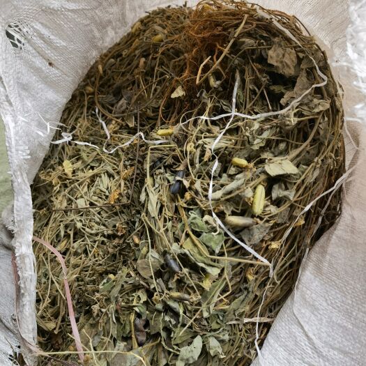 宜宾马响铃响铃草晒干新货