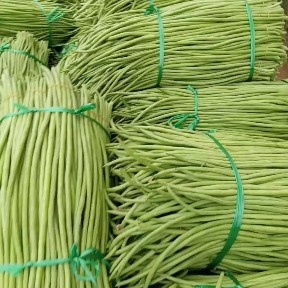 徐闻县长豇豆 广东湛江徐闻豆角