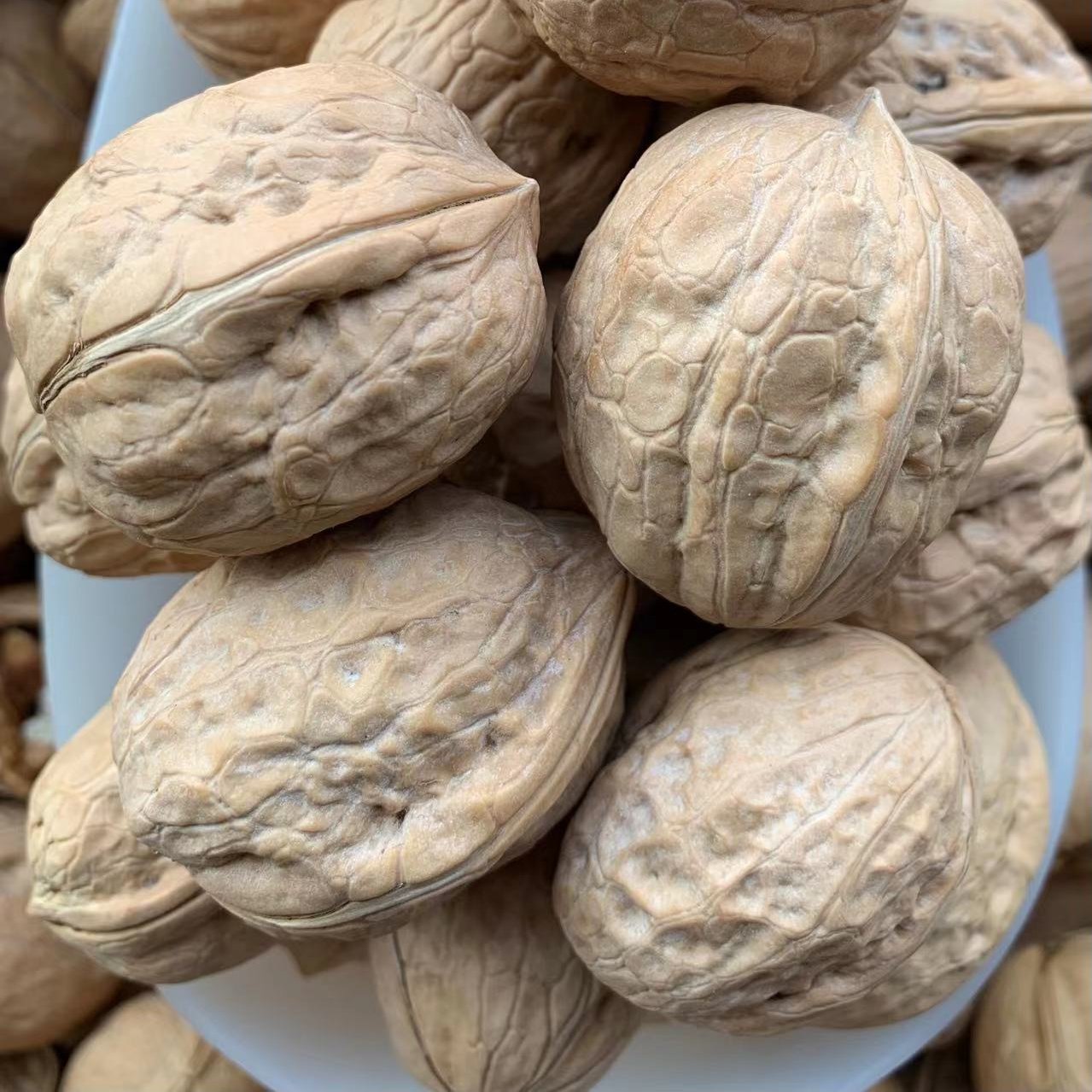 部分包邮新货新疆薄皮核桃185纸皮核桃33手剥烤核桃量大优惠