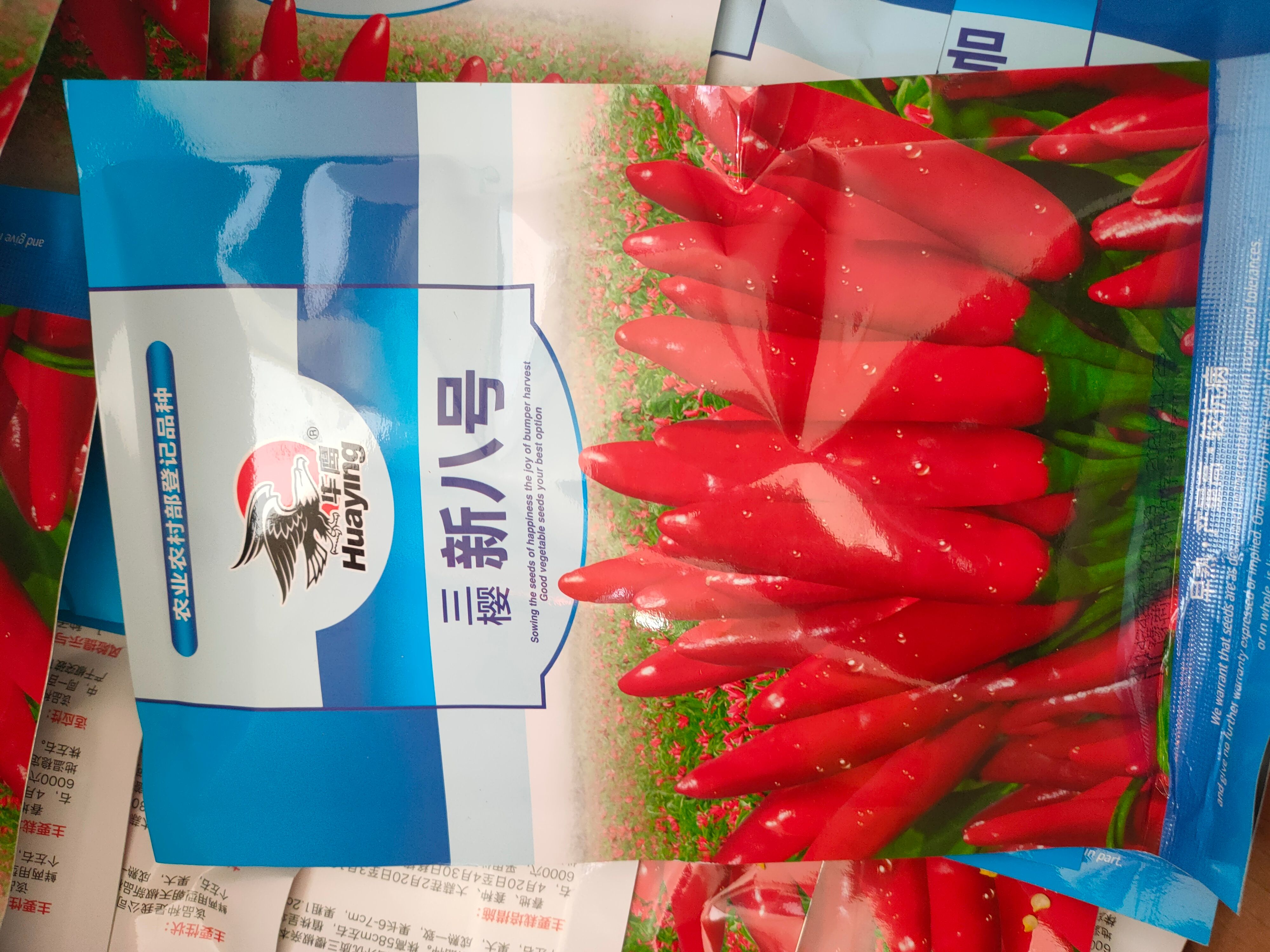 三樱椒种子 华鹰 三鹰八号 抗病 抗旱 抗涝 产量高