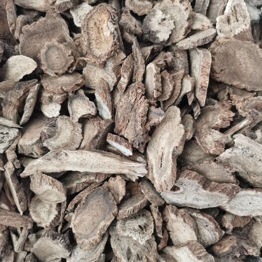 木香  云木香  片子