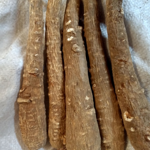 亳州白芷产地直销一手货源批发零售量大从优有留无留白芷片，谢谢合作