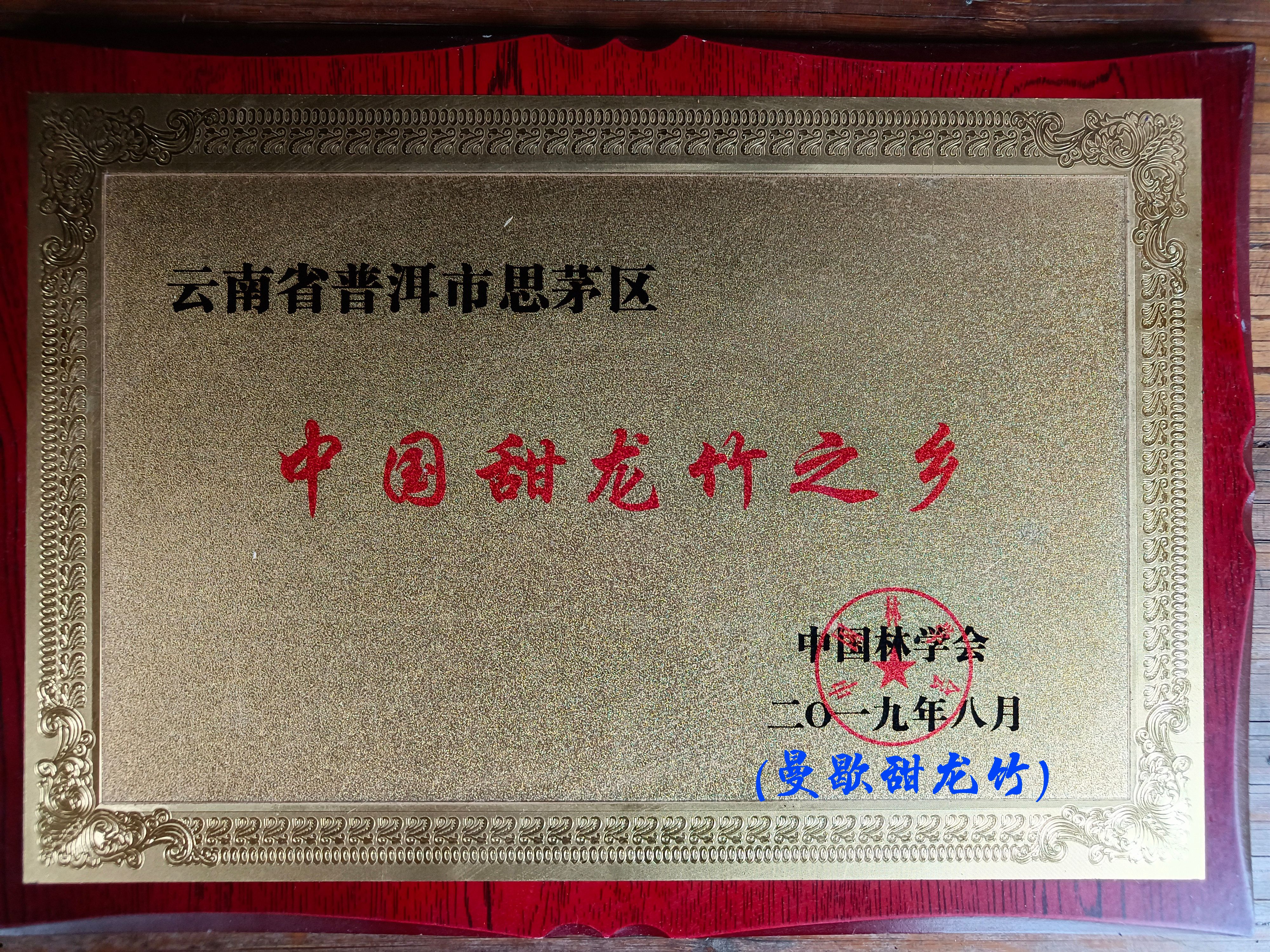 甜竹笋    云南普洱勃氏甜笋      大个头普洱笋