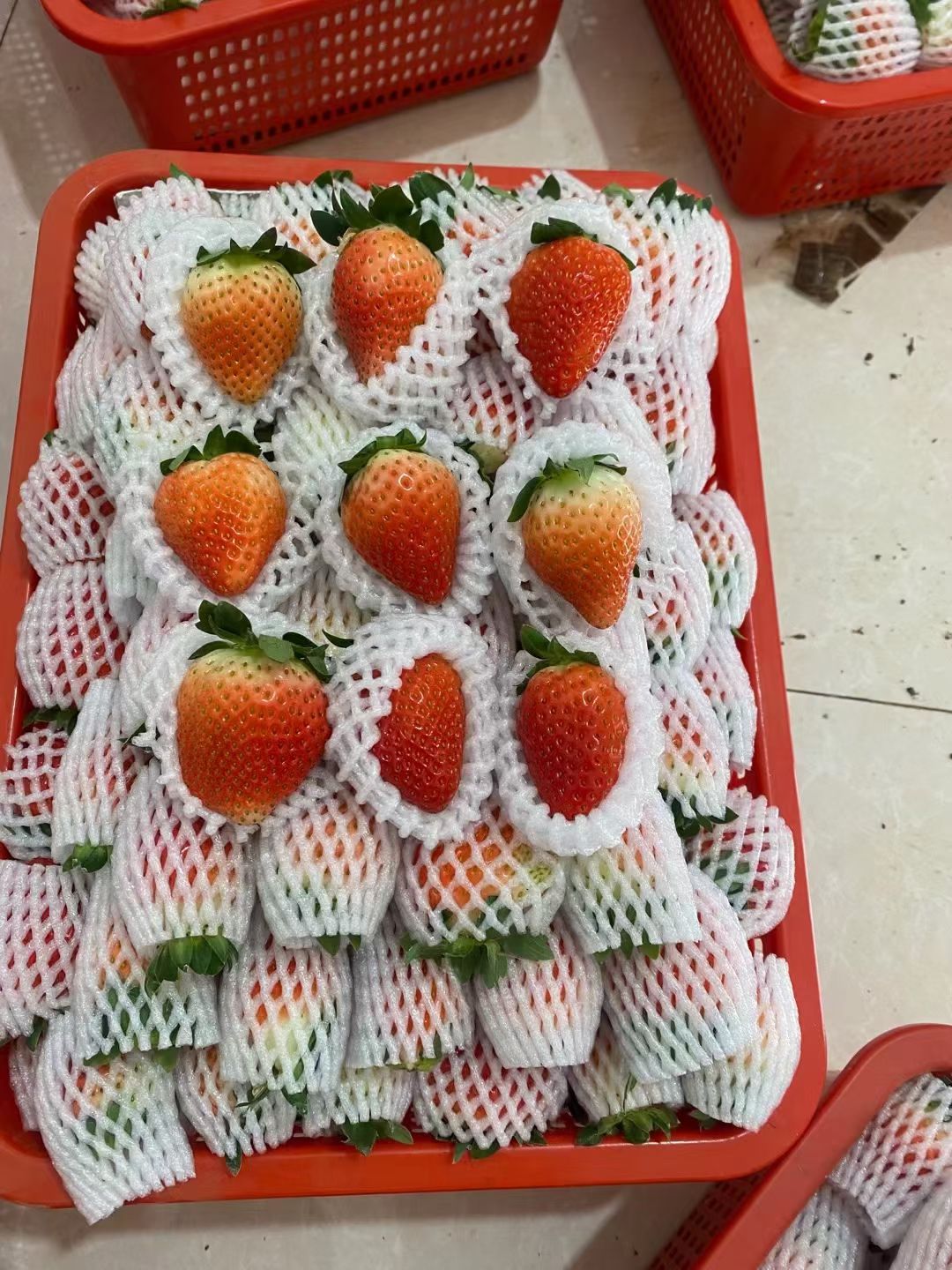 基地直发夏季草莓盒装青红果,一件51盒,运费基地出