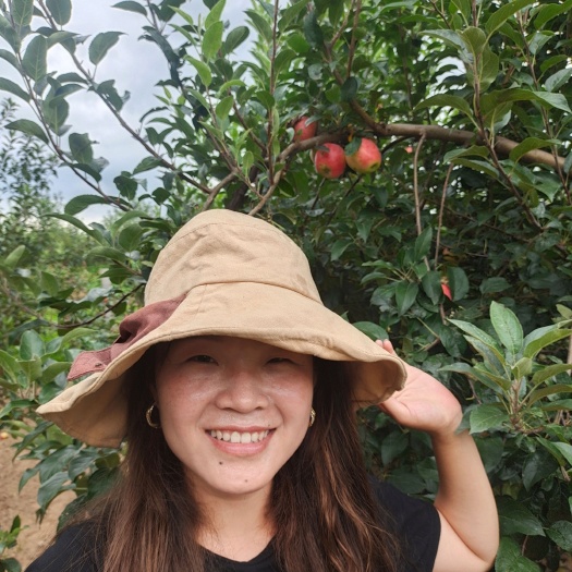 平邑县鲁丽苹果苗 早熟苹果 鲁丽苹果树苗早熟自然全红免套袋不沙化耐储存