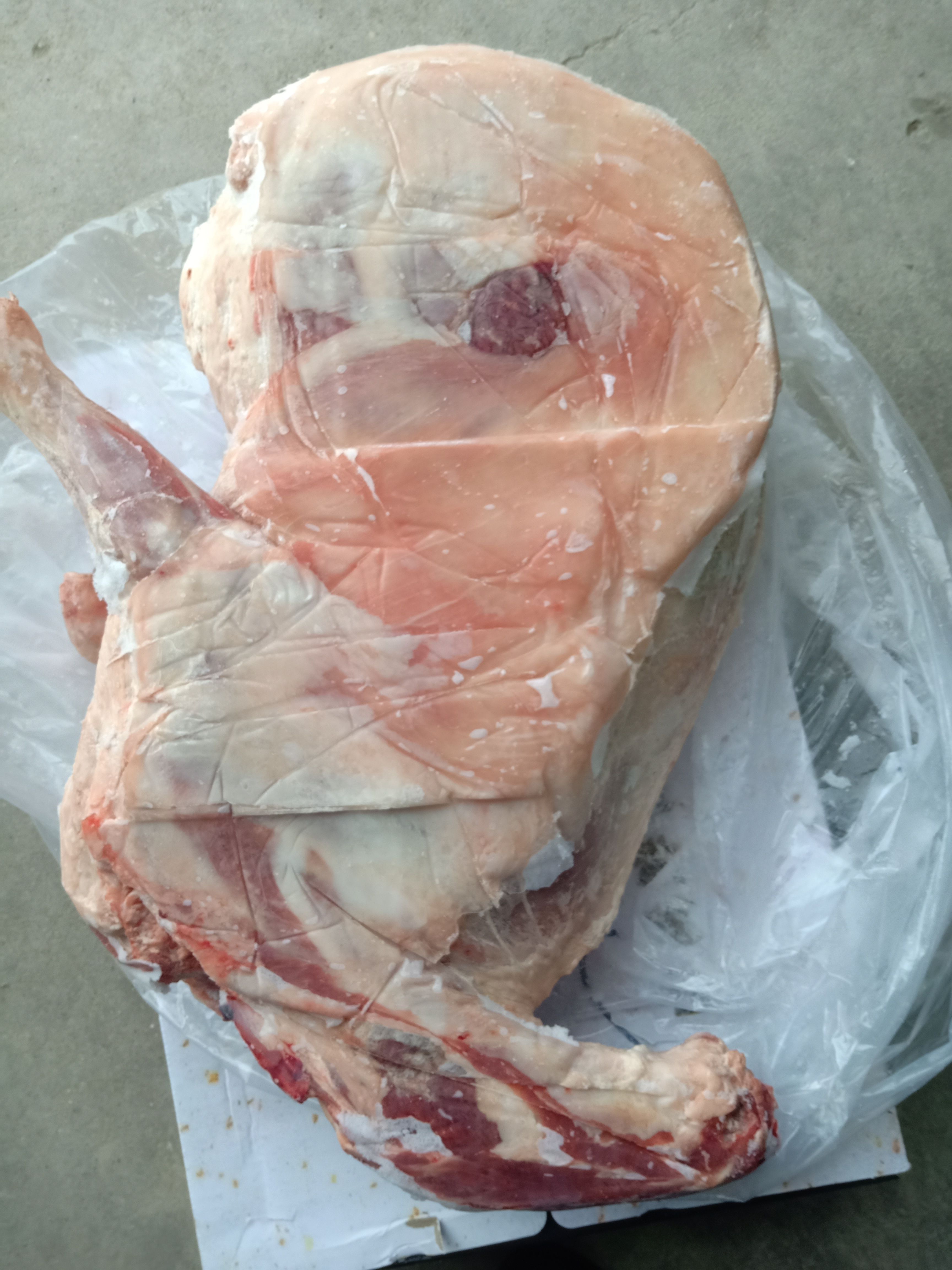 白条羊  小羔羊 20斤左右羊酮体冷链物流发货