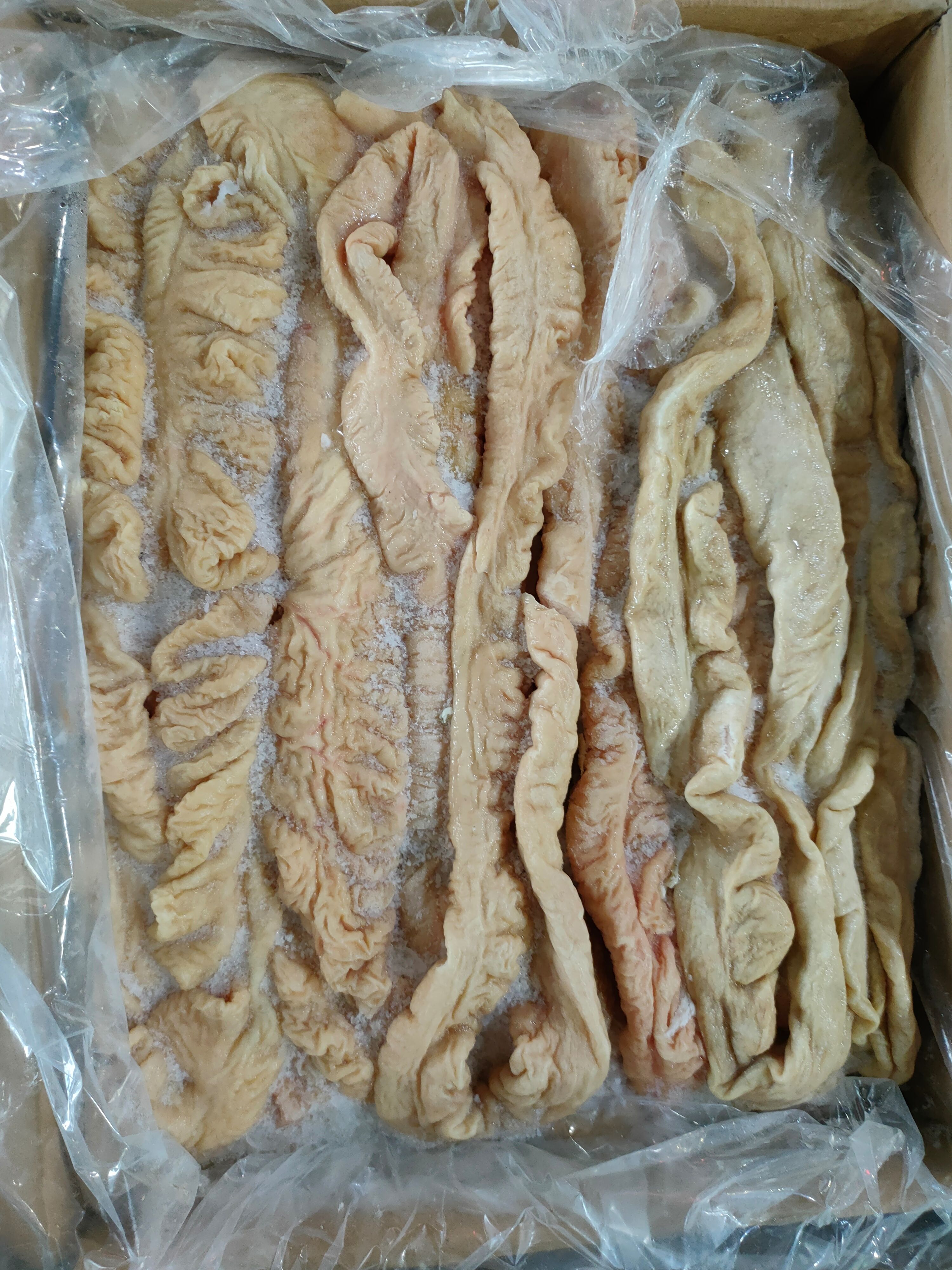 猪肠  国产预煮猪大肠