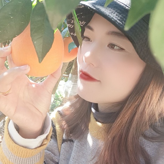 肥西县脐橙 自产自销，皮薄肉厚，多汁化渣，果园看货，代找车