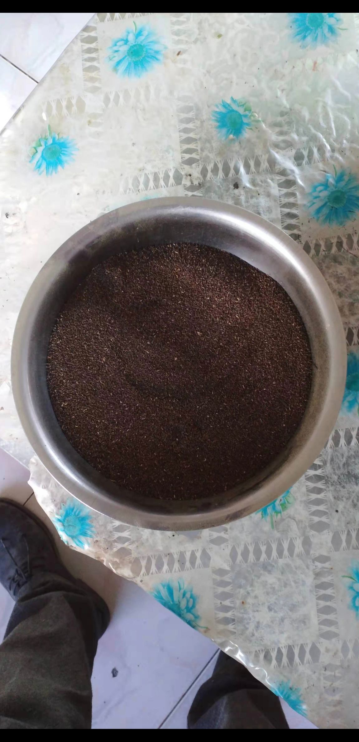 沙蒿籽出售，可做中药材