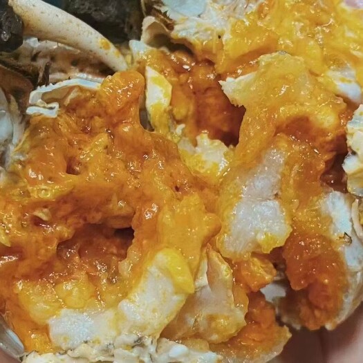 南京大闸蟹 南京高淳固城精品螃蟹，蟹黄饱满，死蟹包赔，规格齐全