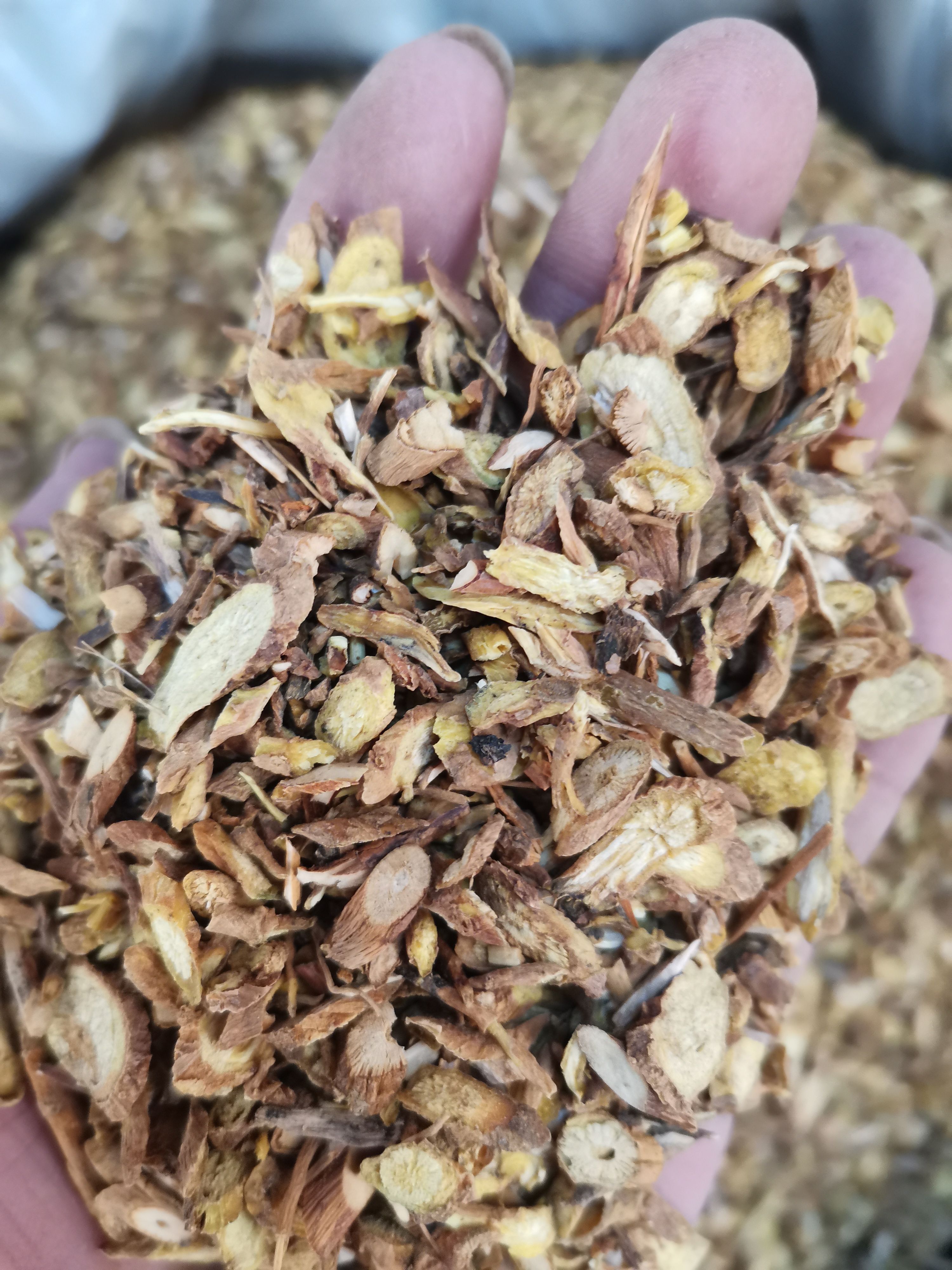 黄芩  无硫黄芩片   山西货   内蒙货   甘肃货