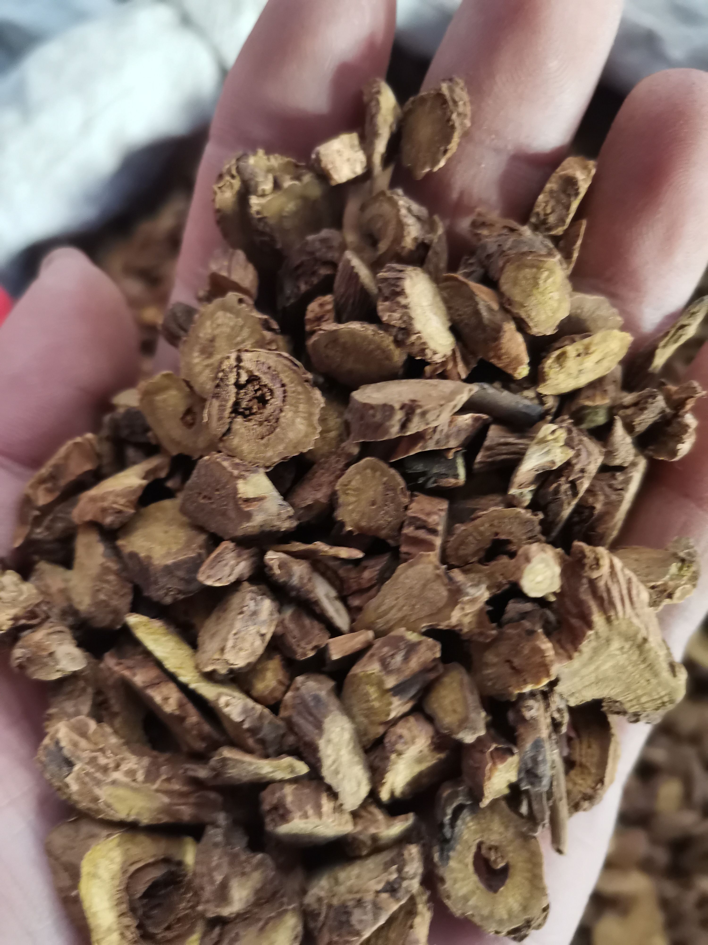 黄芩  无硫黄芩片   山西货   内蒙货   甘肃货