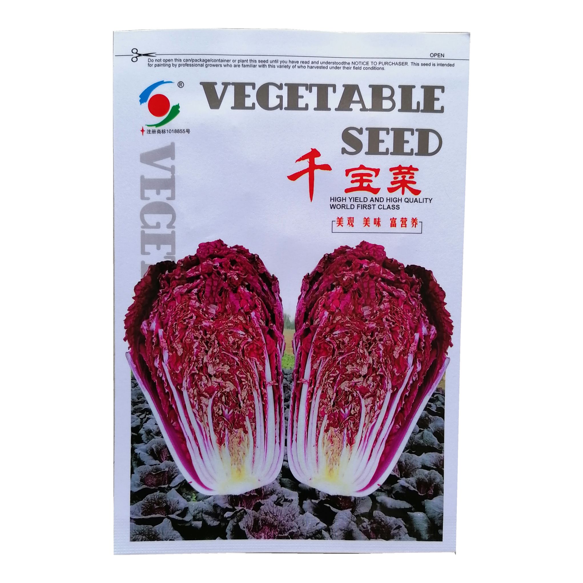 沭阳县千宝菜种子紫白菜种子红色大白菜种子秋天冬季稀有特色非转基因