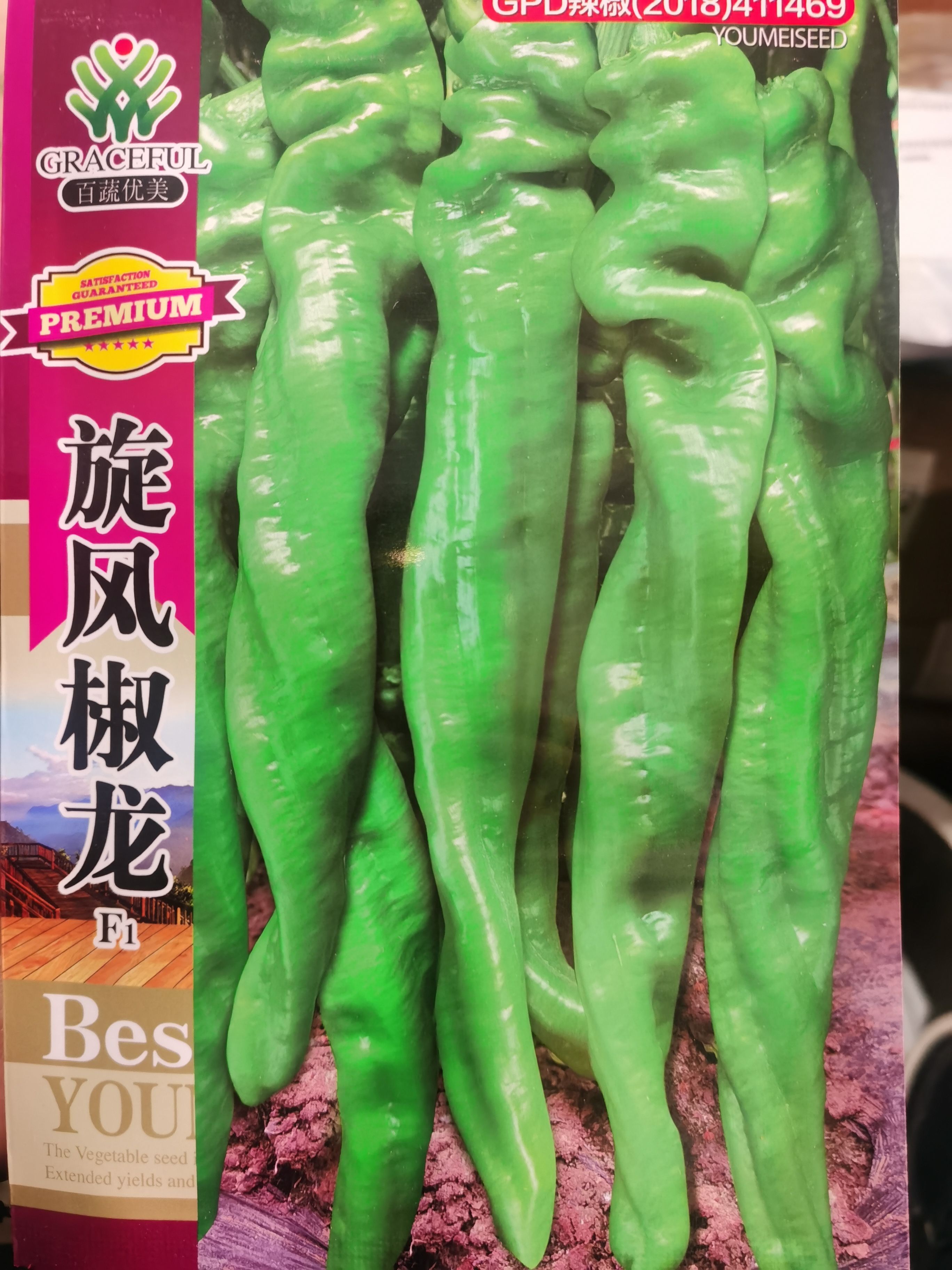 螺丝椒种子  旋风椒龙辣椒种子 金螺
