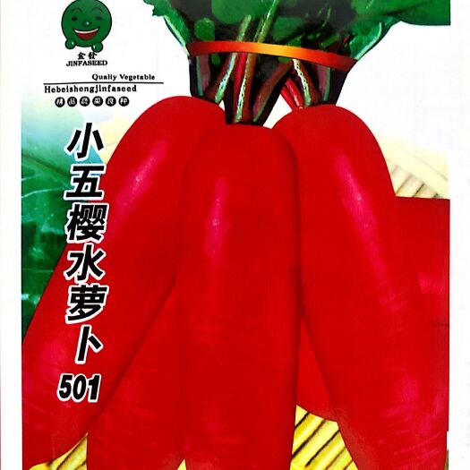 沭阳县樱桃萝卜种子 小五樱501水萝卜种子种子  早春红皮水果阳台四季盆栽春籽种