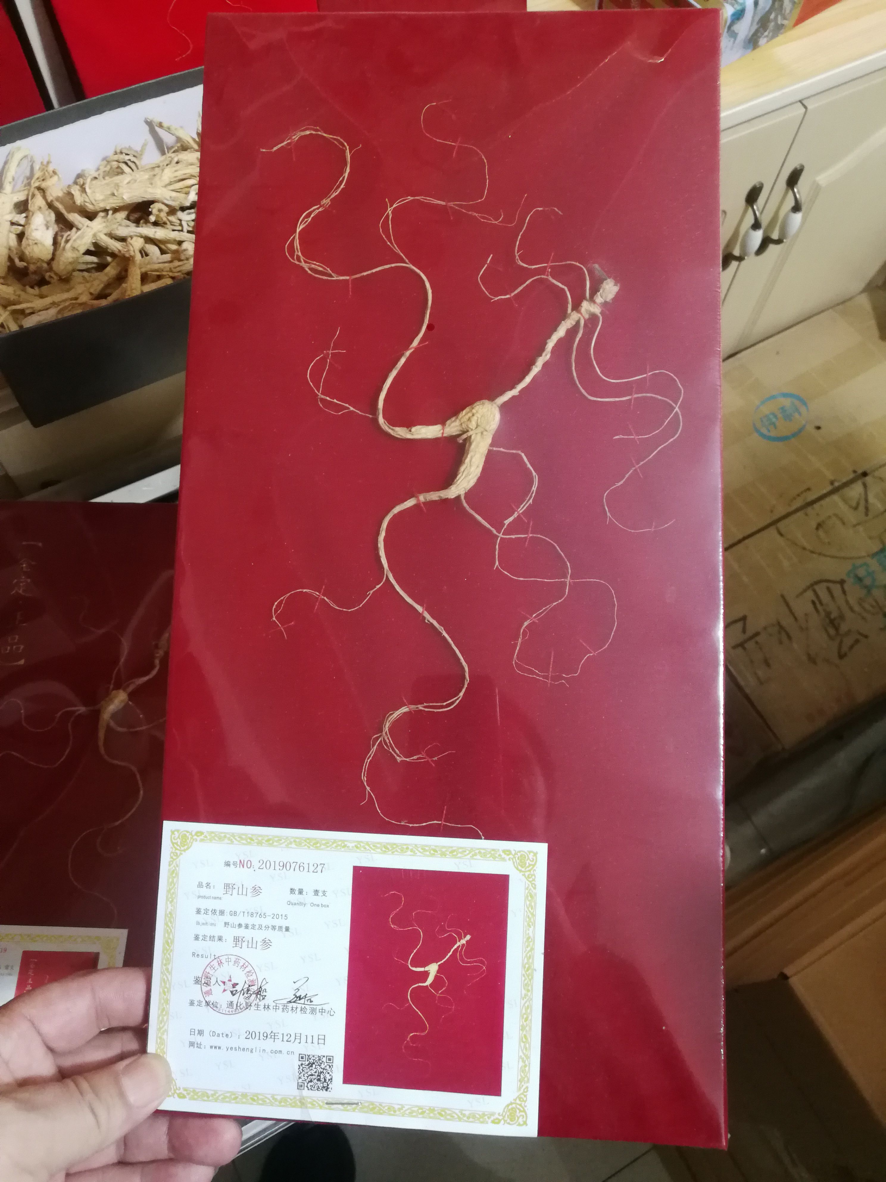 林下参  19年林下山参板货，一盒55块钱两盒起包邮