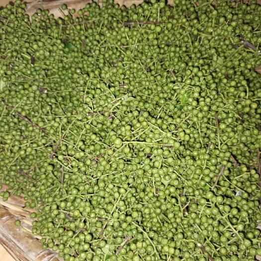 自贡青花椒    麻椒   藤椒