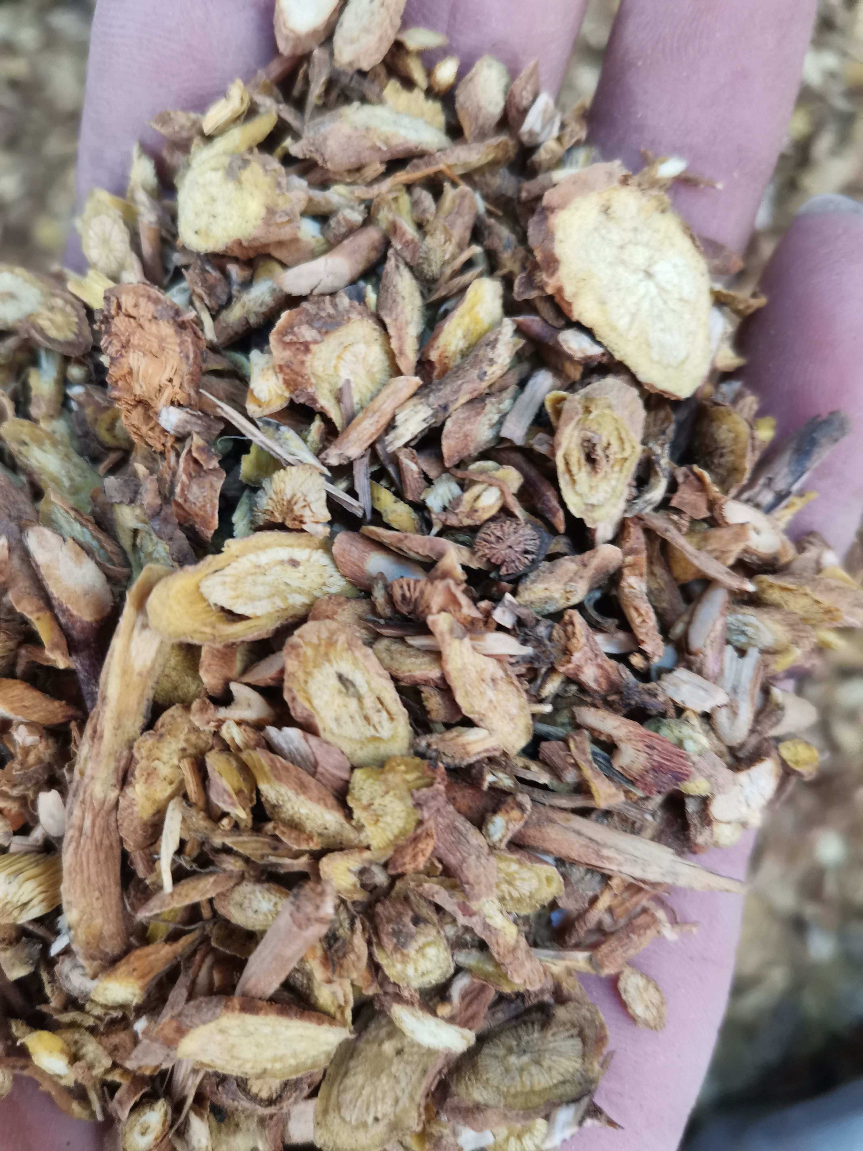 黄芩  无硫黄芩片   山西货   内蒙货   甘肃货