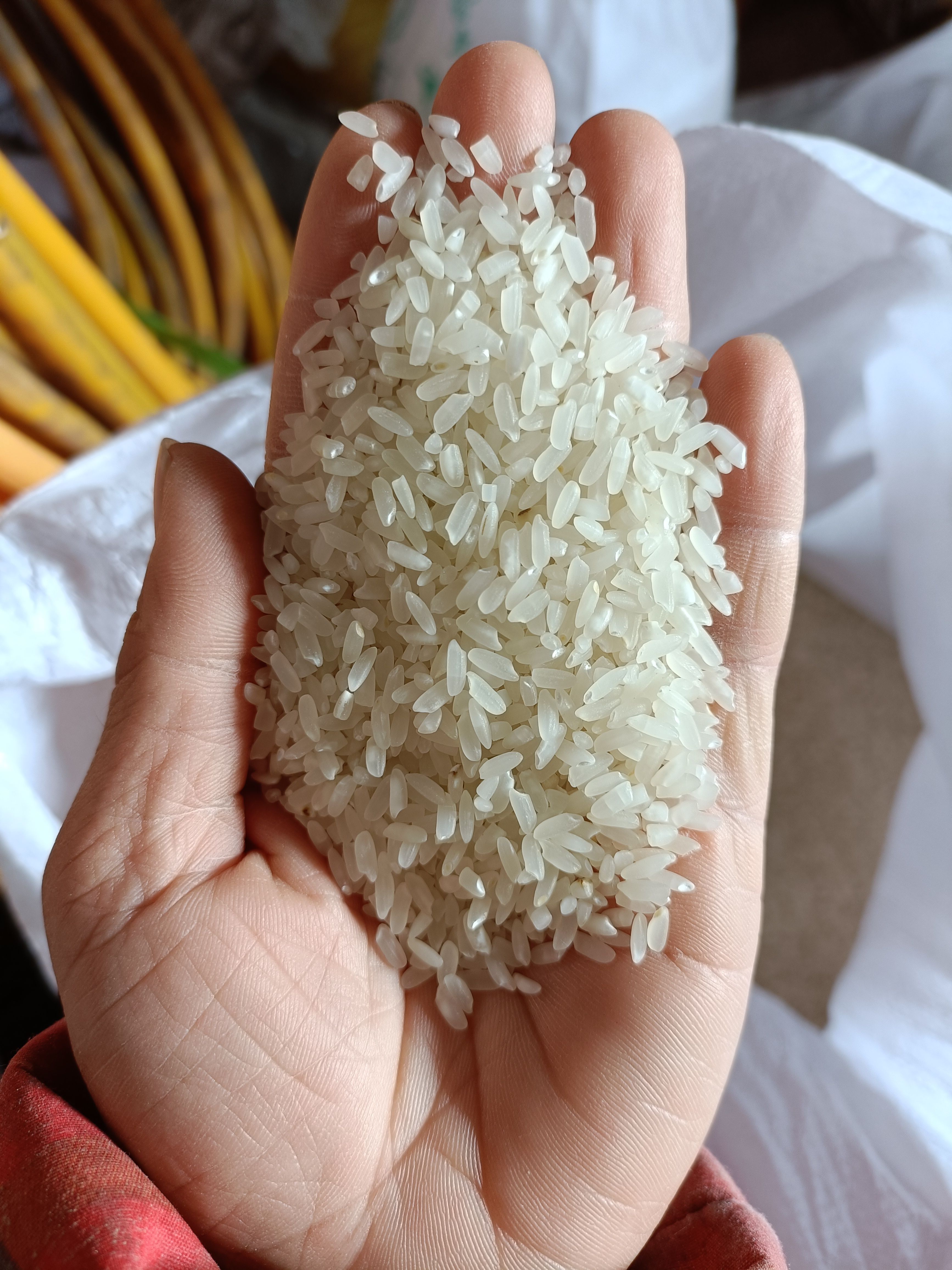 兰溪市粳米 2021年新鲜干燥农家米和稻谷