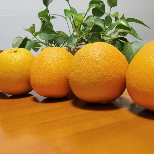 于都县纽荷尔脐橙 江西赣南脐橙自己果园新鲜橙子现摘现发10/20斤