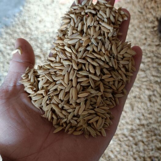 兰溪市粳米 农家优质大米，稻谷