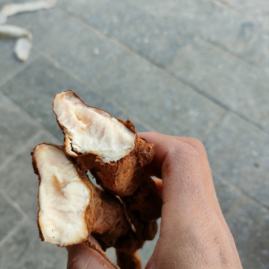 衡阳县新鲜土茯苓现挖新鲜白肉甘甜煲汤料