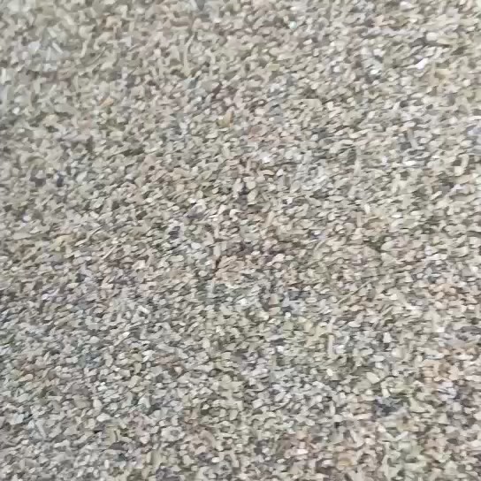 碎麦 草籽麦