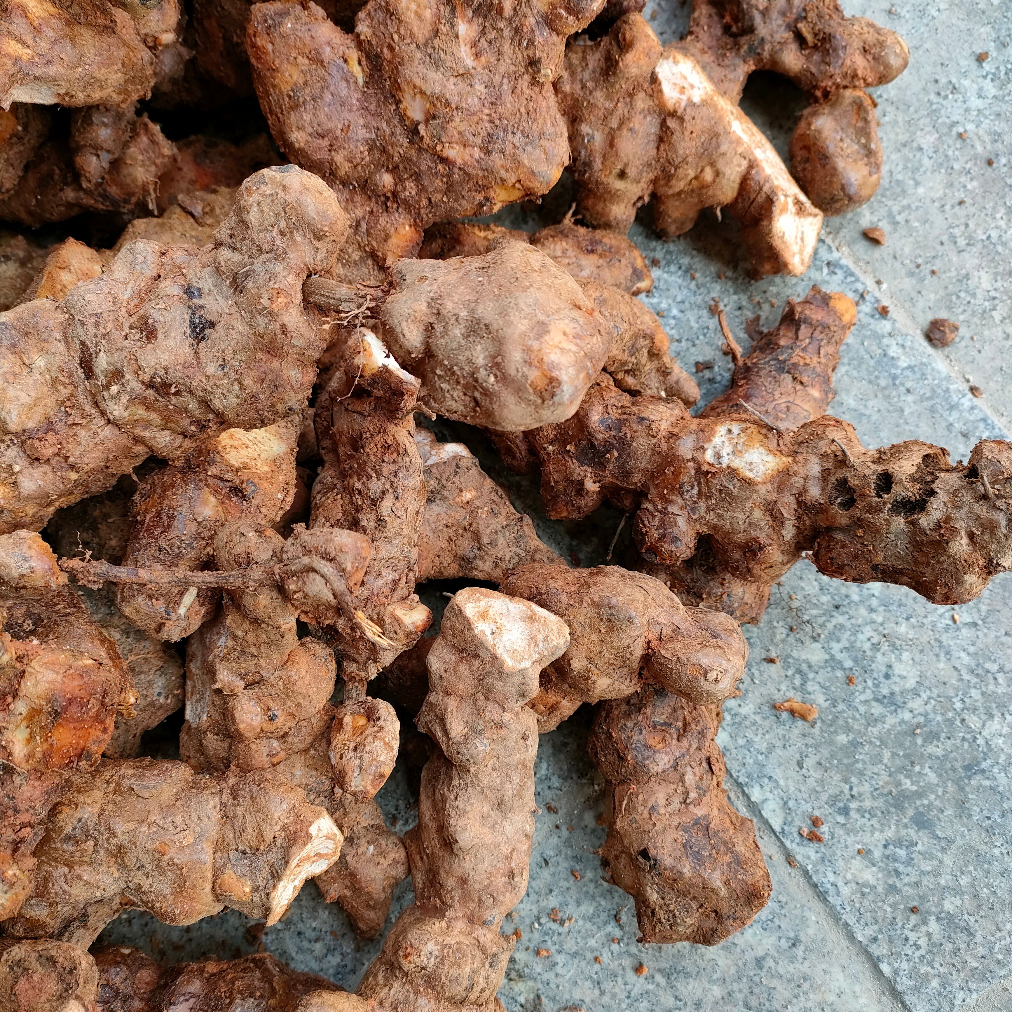 新鲜土茯苓现挖新鲜白肉甘甜煲汤料