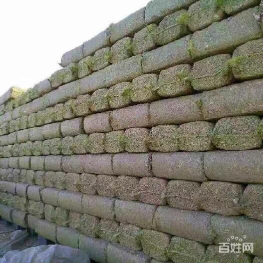 岫岩县 玉米秸秆人工段草20左右水