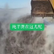羊粪 内蒙古直发，确保原产原地，品质保证，助力种植户丰收