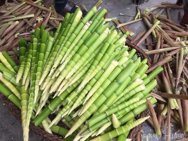 山阳县春笋 大量带壳库存山竹笋出售
