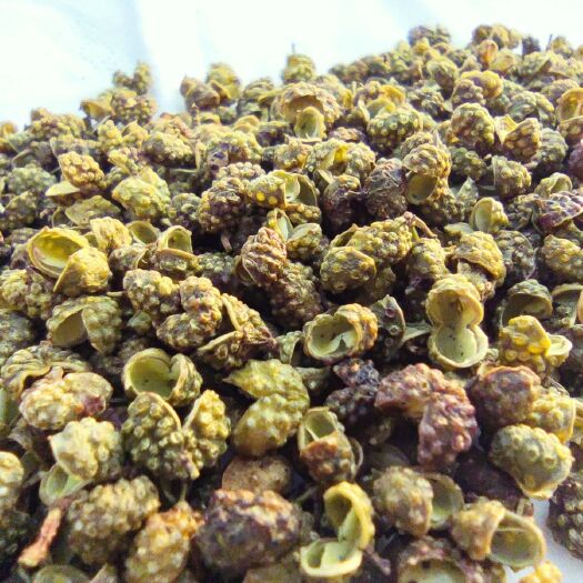 金阳县青花椒麻椒新货，谢绝老货，零售专拍！免费邮政包邮！